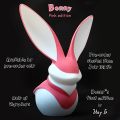 Bonny-the-bunny.jpg